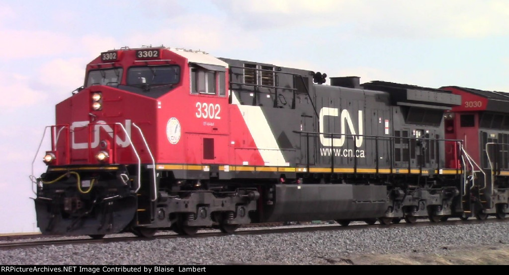 CN A431